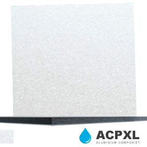 ACPXL – KAMELEONKLEUR WIT / ZILVER